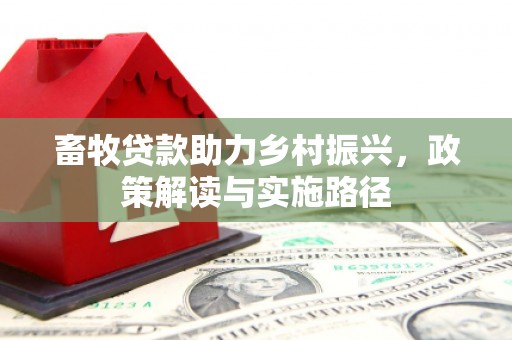 中堂畜牧贷款助力乡村振兴，政策解读与实施路径