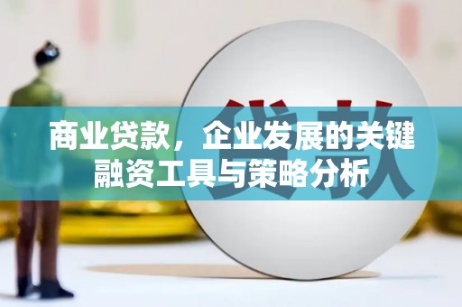 中堂商业贷款，企业发展的关键融资工具与策略分析