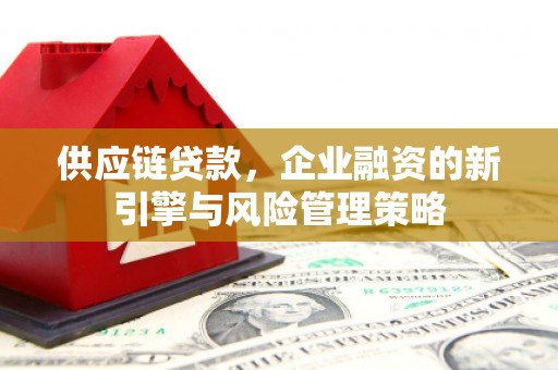 中堂供应链贷款，企业融资的新引擎与风险管理策略