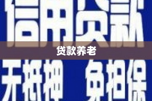 中堂贷款养老
