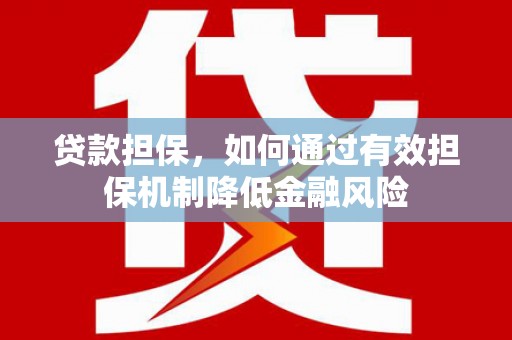中堂贷款担保，如何通过有效担保机制降低金融风险
