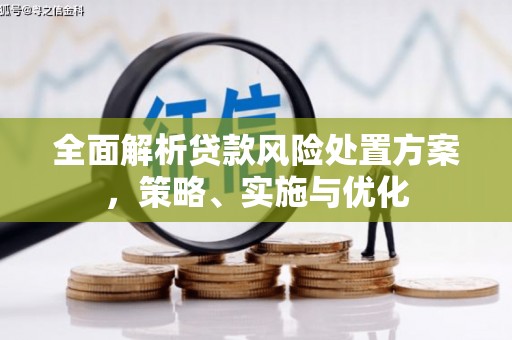 中堂全面解析贷款风险处置方案，策略、实施与优化