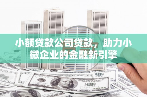 中堂小额贷款公司贷款，助力小微企业的金融新引擎