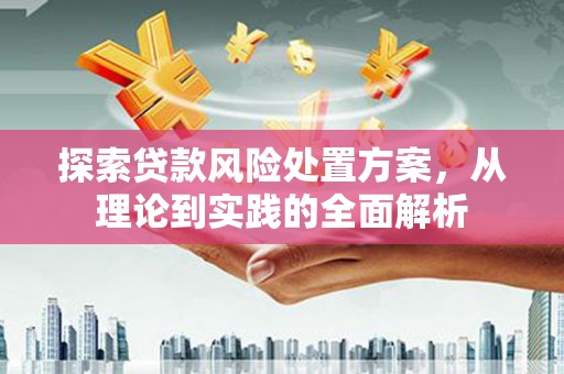 中堂探索贷款风险处置方案，从理论到实践的全面解析