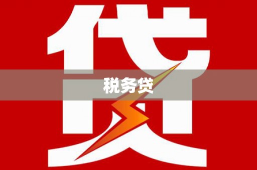中堂税务贷
