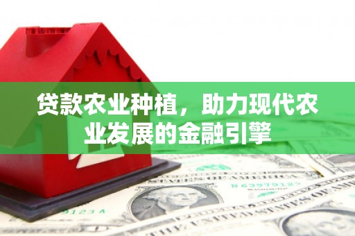 中堂贷款农业种植，助力现代农业发展的金融引擎