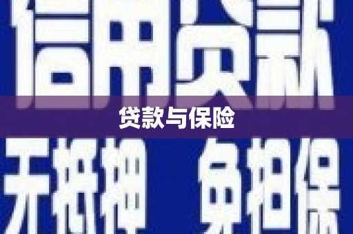 中堂贷款与保险