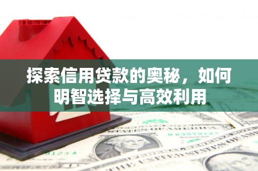 中堂探索信用贷款的奥秘，如何明智选择与高效利用