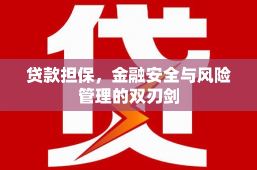 中堂贷款担保，金融安全与风险管理的双刃剑