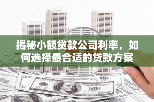 中堂揭秘小额贷款公司利率，如何选择最合适的贷款方案