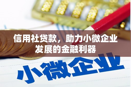 中堂信用社贷款，助力小微企业发展的金融利器