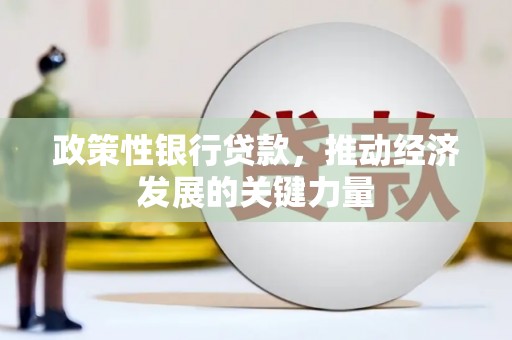中堂政策性银行贷款，推动经济发展的关键力量