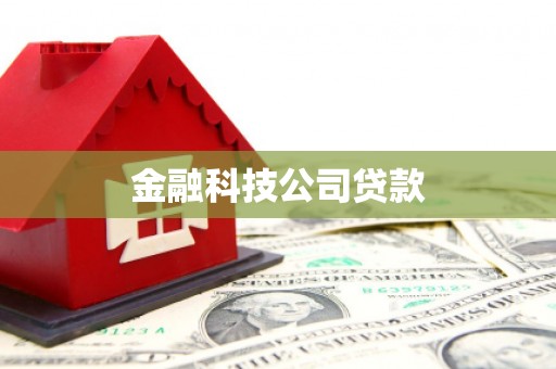 中堂金融科技公司贷款