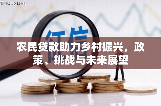 中堂农民贷款助力乡村振兴，政策、挑战与未来展望