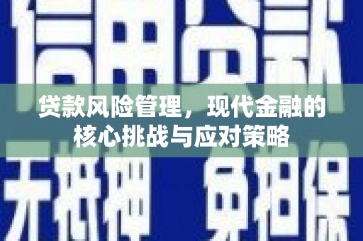 中堂贷款风险管理，现代金融的核心挑战与应对策略