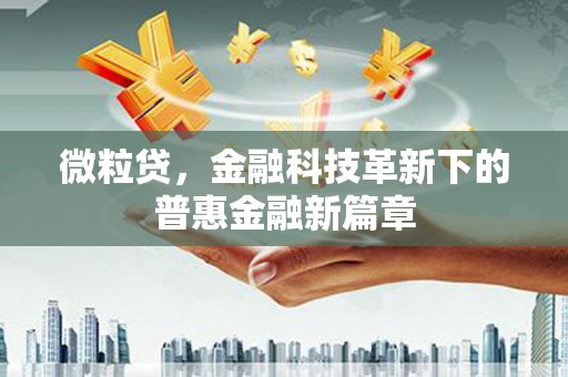 中堂微粒贷，金融科技革新下的普惠金融新篇章