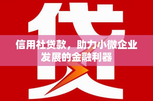中堂信用社贷款，助力小微企业发展的金融利器