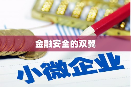 中堂金融安全的双翼