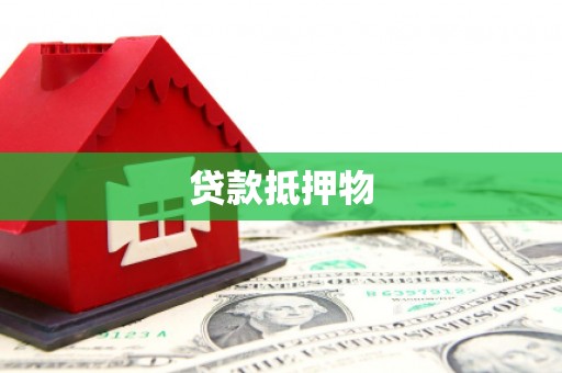 中堂贷款抵押物
