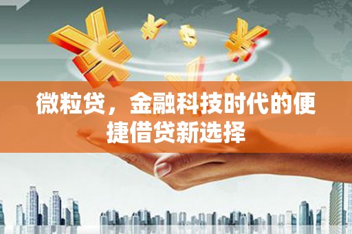 中堂微粒贷，金融科技时代的便捷借贷新选择
