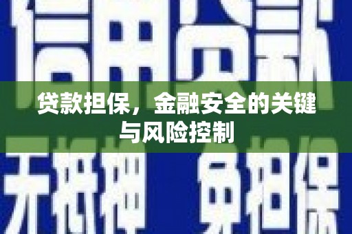 中堂贷款担保，金融安全的关键与风险控制