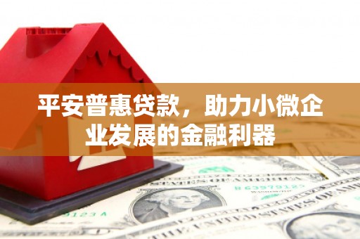 中堂平安普惠贷款，助力小微企业发展的金融利器