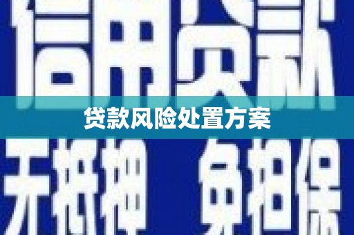 中堂贷款风险处置方案