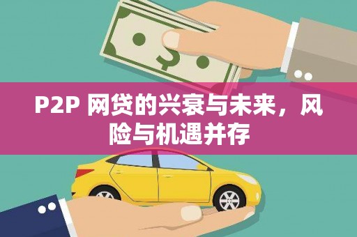 中堂P2P 网贷的兴衰与未来，风险与机遇并存