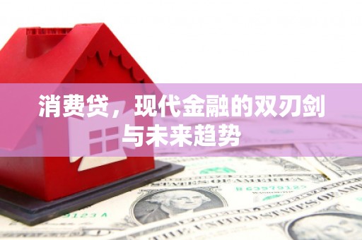 中堂消费贷，现代金融的双刃剑与未来趋势
