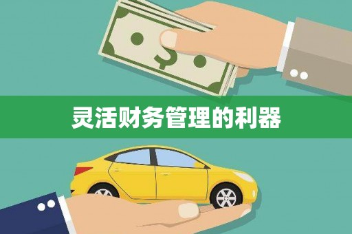 中堂灵活财务管理的利器