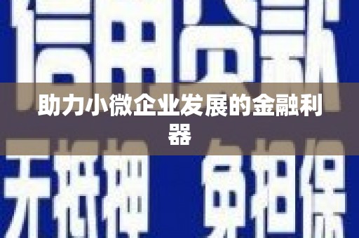 中堂助力小微企业发展的金融利器